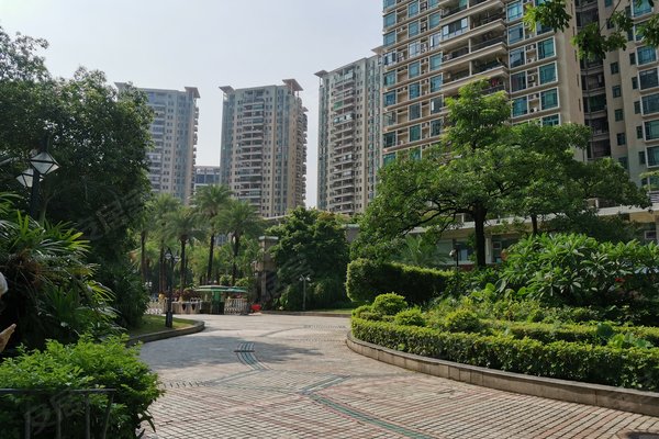 广州小区 天河小区 珠江新城东小区 南国花园 南国花园怎么样