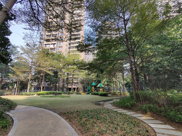 东莞道滘道滘城区沿海丽水佳园沿海丽水佳园 拎包入住3房精装修 南北