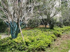 武汉洪山白沙洲武汉卓越城 3室2厅2卫出租房源真实图片