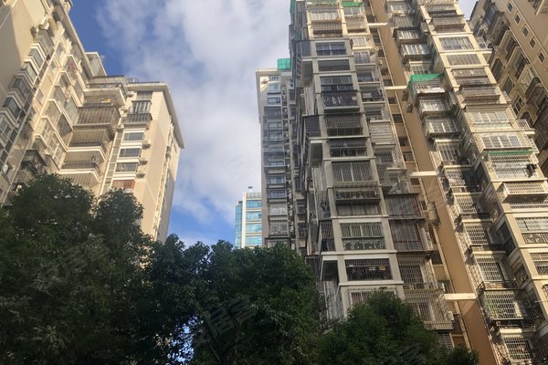 古龙花园(公寓住宅)周边房产中介经纪人评价-厦门安居客