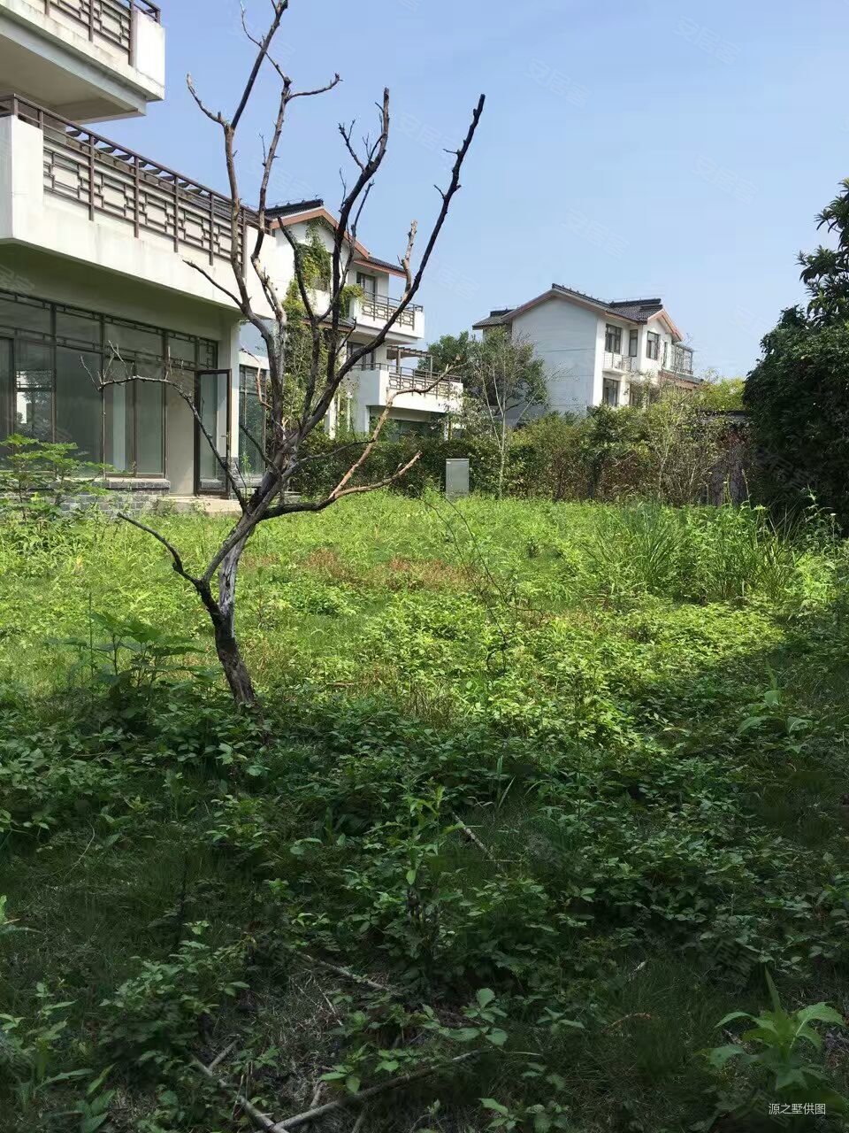 东山景园独栋别墅花园610平苏州太湖东山宾馆旁方便看房