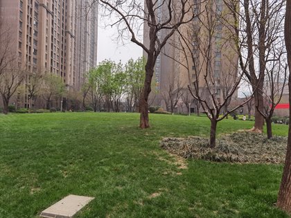 普罗旺世波特兰怎么样,普罗旺世波特兰周边房产中介经纪人评价-郑州