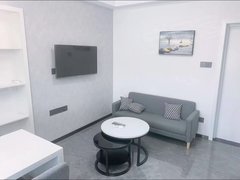 张家港杨舍杨舍中心清水湾(张家港) 1室1厅1卫 电梯房 精装修47平米出租房源真实图片
