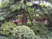 上海别墅