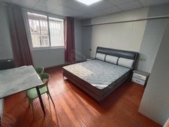 常州武进大学城可短租,可押一付一,阳湖二院旁边精装公寓一居室,拎包即住出租房源真实图片