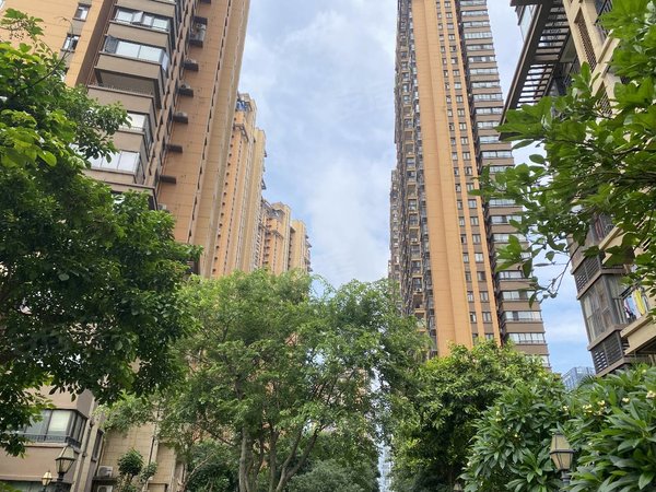 【多图】联发君澜(一期),东盟商务租房,实价两芊 长虹路 青秀万达