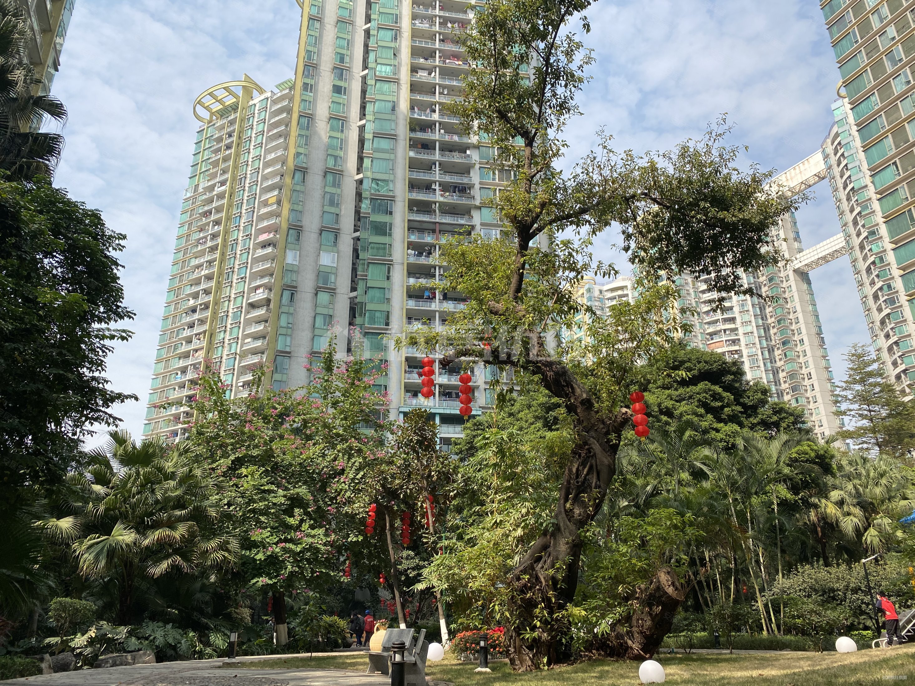 中海名都 高层五房 中心 江景 少有放盘 全新装修