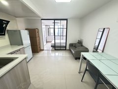 上海松江九亭九亭地铁口 整租一室一厅 近中泰广场 金地广场 可车位居住证出租房源真实图片