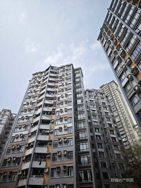 简陋房 丽江花园德 楼龄新 装修好 板楼 近地铁 电梯房