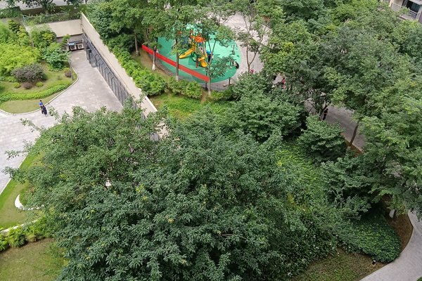 重庆小区 渝中小区 化龙桥小区 雍江翠璟 雍江翠璟怎么样发布于2021年