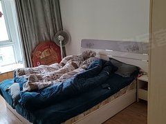 宿迁泗洪县花园口广场南山龙郡 3室2厅1卫出租房源真实图片