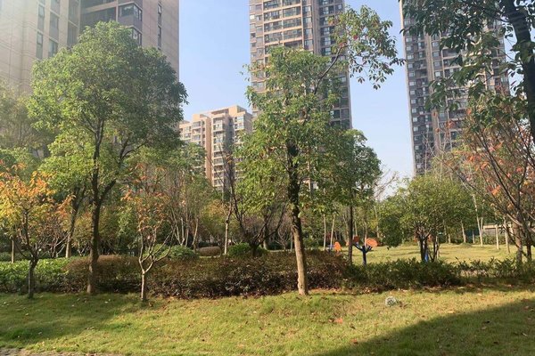武汉小区 江夏小区 文化大道小区 清江泓景