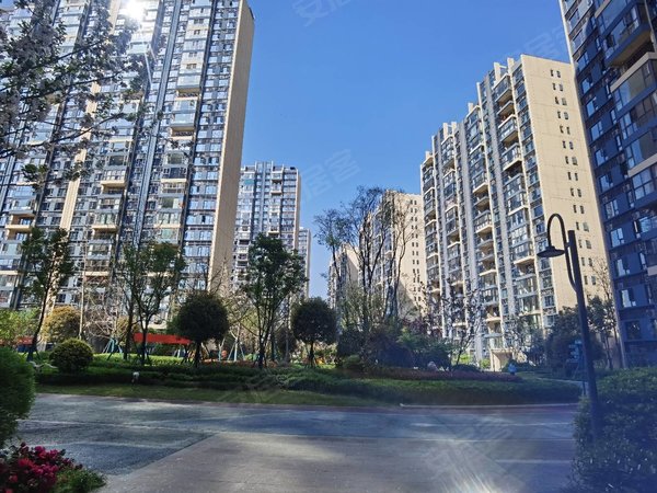 【多图】香榭国际,明月岛租房,西山片区 联想科技城 电梯 三室两厅两