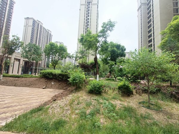 包头九原富力城富力城(D区)新装修 有空调 温馨两居 家具家电齐全拎包入住 干净立整出租房源真实图片