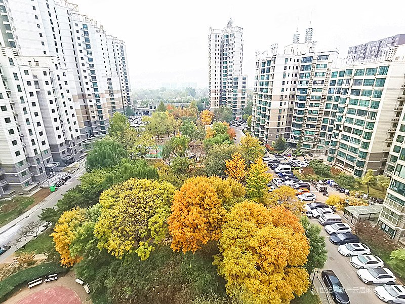 珠江峰景精装三居两卫出售 看房方便 业主诚意出售