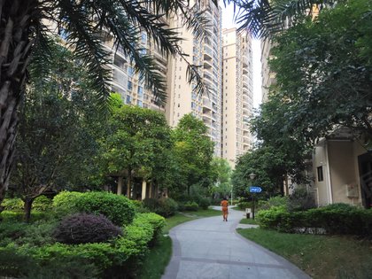 霸王花丽江花园