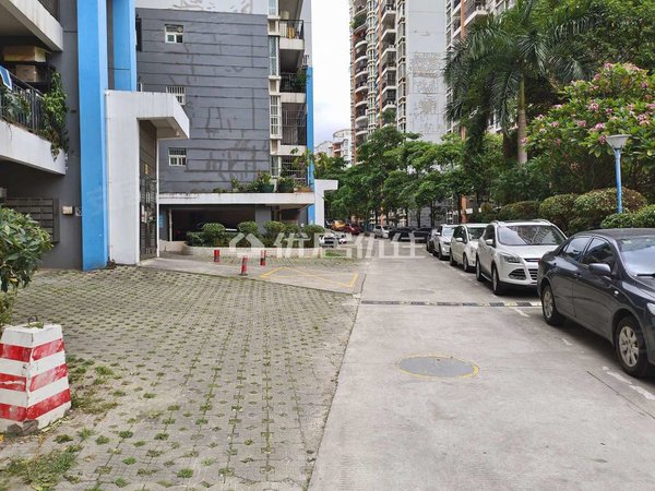 南宁青秀柳沙柳沙丽园柳沙丽园 精装 整租 面议 143平 4室 视野开阔