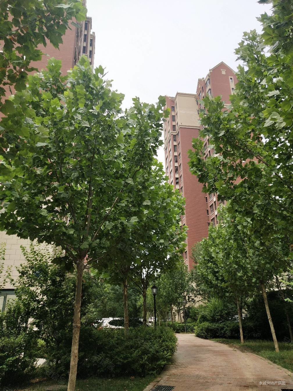 天津房产网>天津二手房>武清二手房>高村镇二手房>首创雪莱小镇>1008