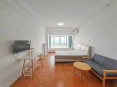 长沙天心天心区政府天心区一号线省政府清风站地铁口一居室,采光佳,性价比高出租房源真实图片
