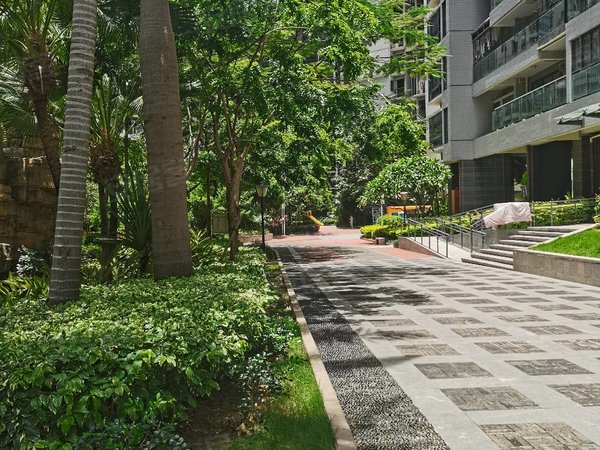 深圳大学总医院旁崇文花园两房标配出租实拍图片南向高楼层