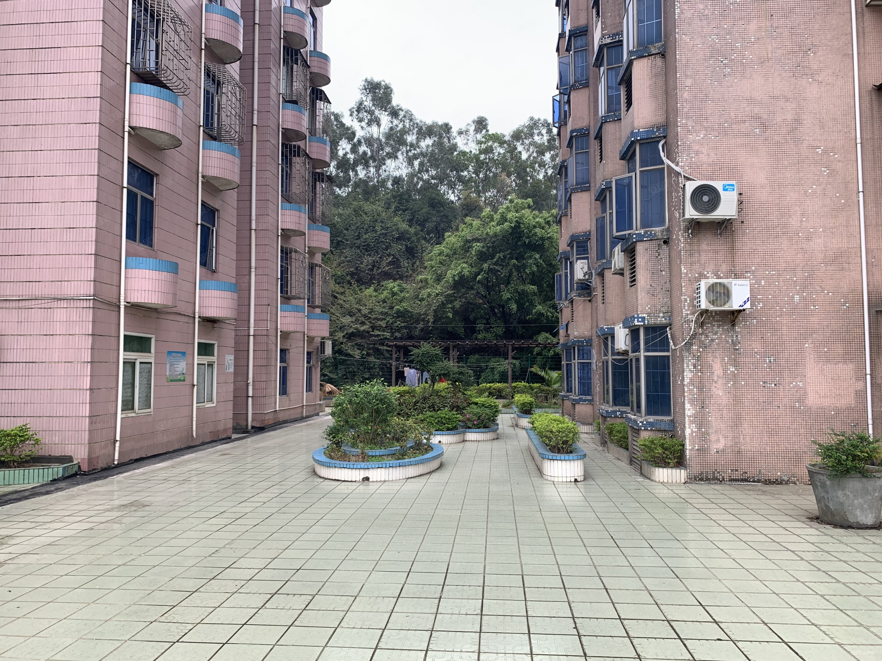 还可优惠15万红荔花园满五配套齐全南北通透