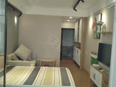 中海环宇城附近，领秀城附近精装修一室公寓出租！