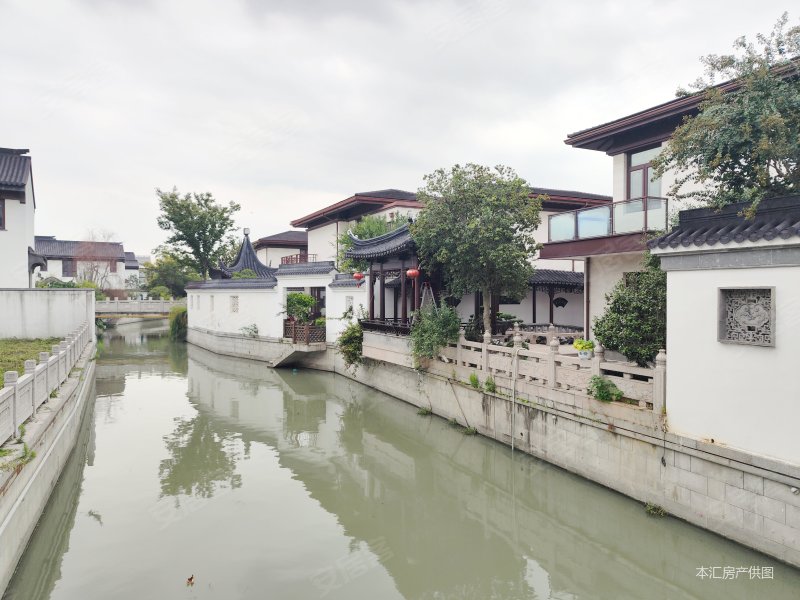 桃坞雅苑人民路二层大独栋汉唐风别墅三开间朝南清水毛坯