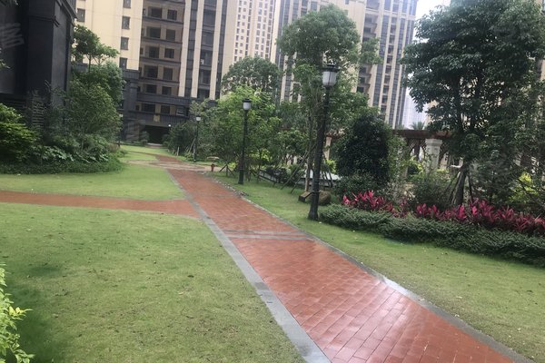> 林丽解读和信水云天居民素质漳州搜搜信息科技有限公司漳州港店