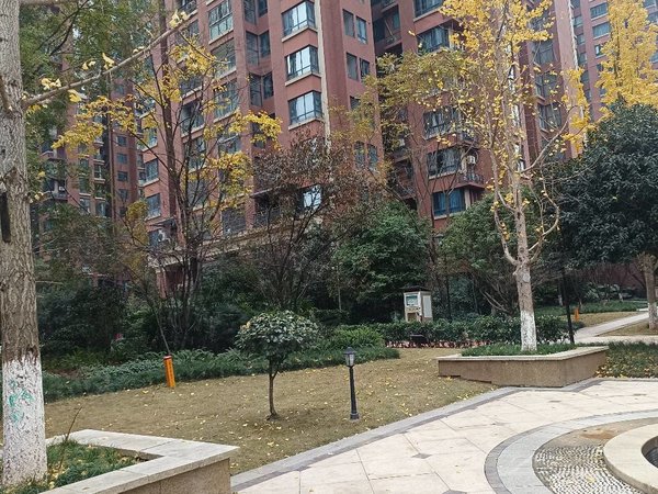 重庆大足大足城区国兴海棠国际(三期)海棠国际物业租售中心,好房出租