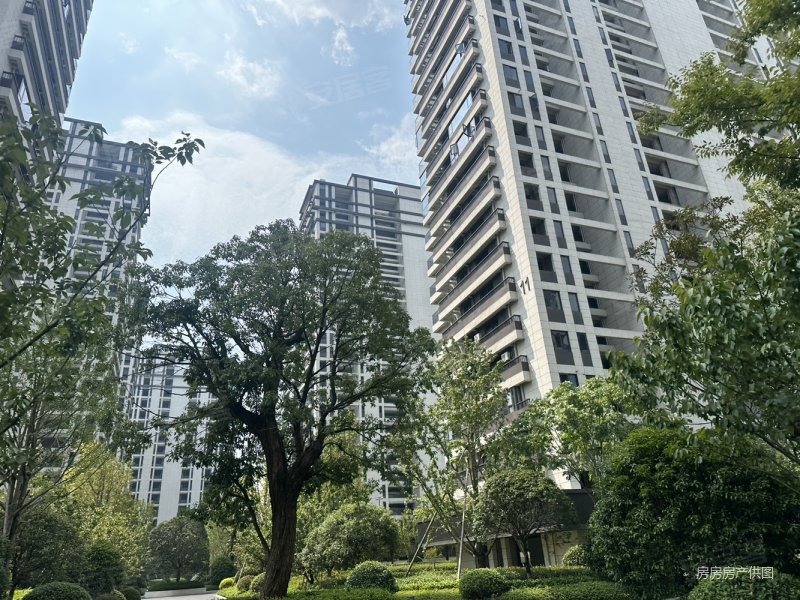 南樾府,地上集团品质小区,边套全明,带车位,南樾