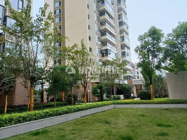 南宁兴宁区政府兴宁大唐果青秀万达附近  电梯大三房   楼下地铁口