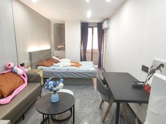 深圳宝安流塘12号线地铁站地铁站 近地铁 实图实价可养宠物 押一付一出租房源真实图片