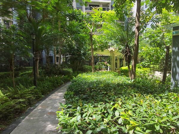 深圳龙华大浪龙军花园小区房 绿化高 配套成熟 户型方正使用率高 大