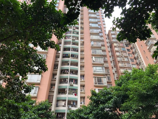 【多图】芳村花园,坑口租房,新收靓房 芳村花园 业主急租 南向望花园