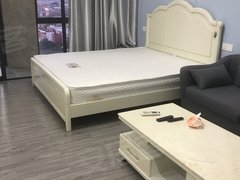 泉州鲤城九一路富临新天地(商住楼) 1室0厅1卫  电梯房 精装修45平米出租房源真实图片