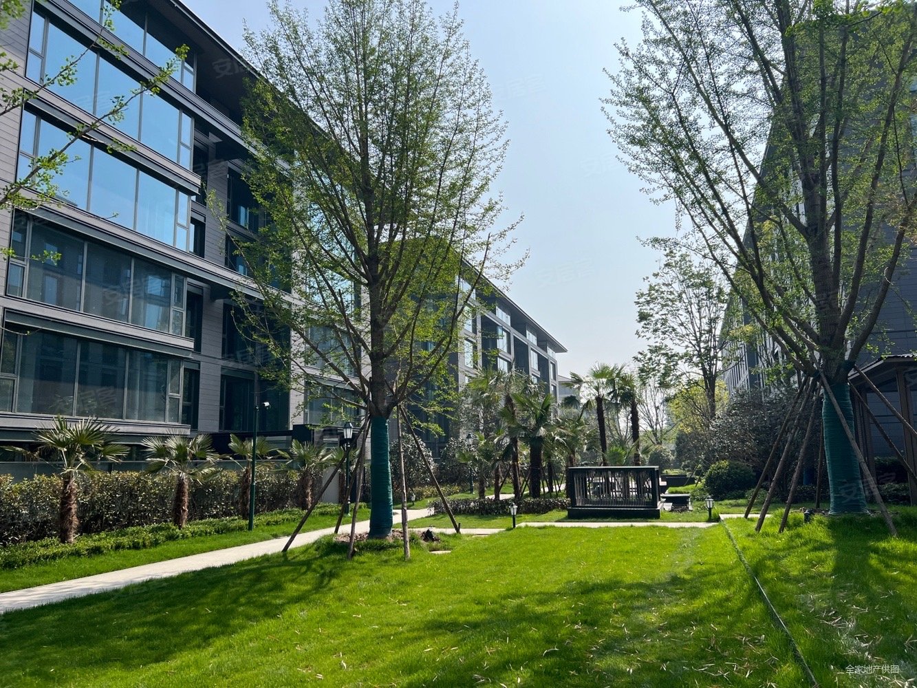 232平一楼大平层带70平大院子 一整层地下室 单价低,碧源荣府二手房,1