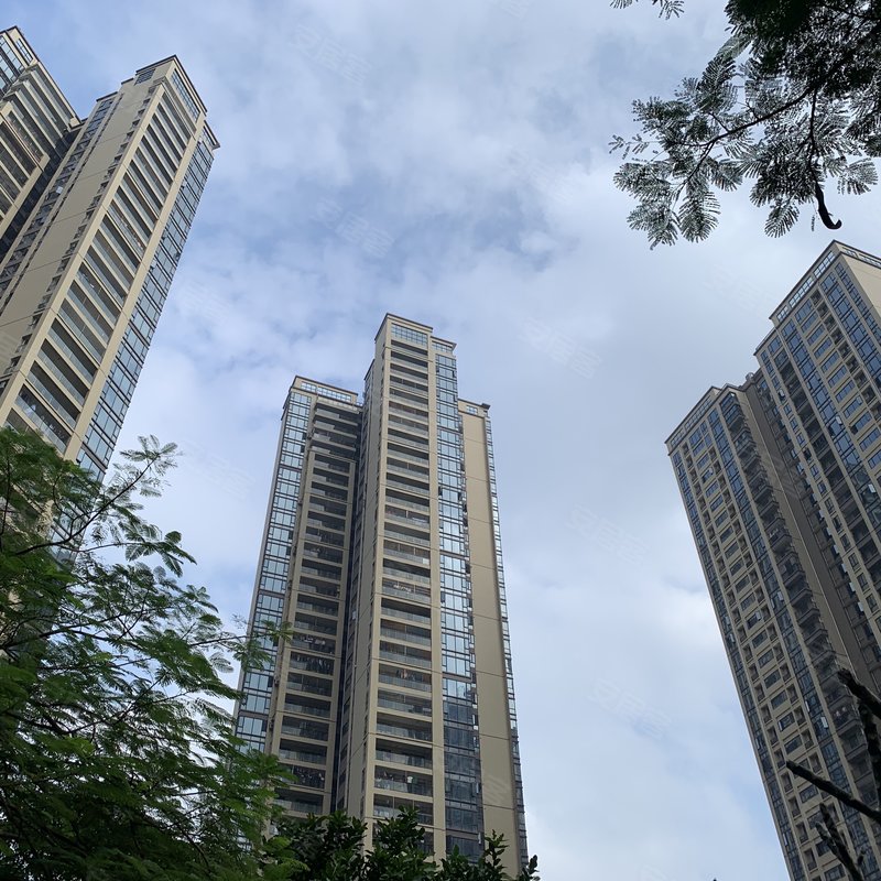 【天润御海湾, 天润御海湾小区详情,房价走势,房源,业主论坛】- 湛江