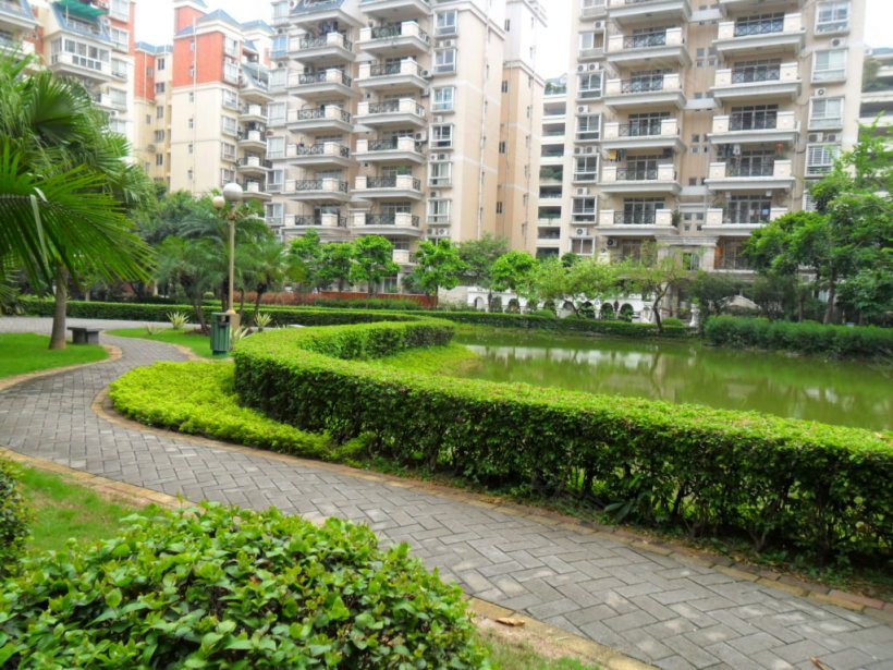 佛山 碧桂花城别墅小区照片