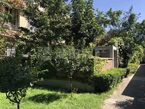 昌乐慧谷根园望京别墅 慧谷根园 能长租 可接待办公 价位能聊 图片