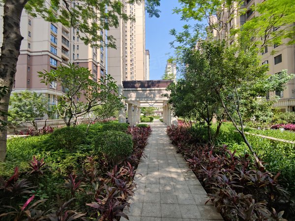 佛山南海金融高新区中铁建水岸花园住家标准 出租 中铁建水岸花园 南