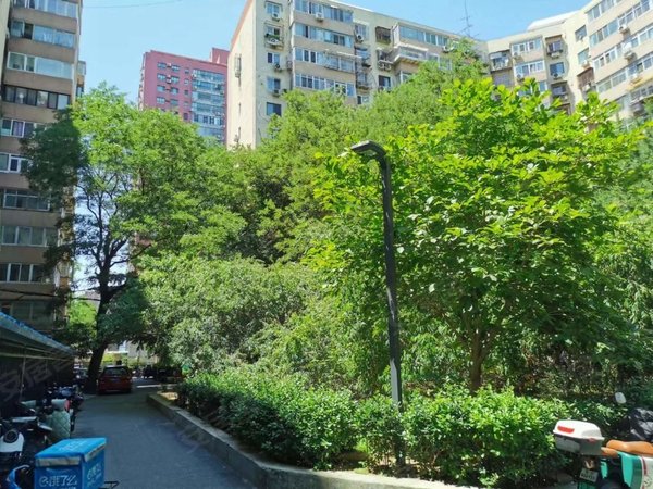 适合部委借调生官园桥旁车公庄大街文华园大一居电梯房近阜外医院