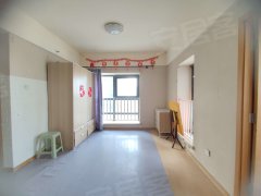 艺术公寓 1室1厅 电梯房 56平米 交通便利 临近天津之眼