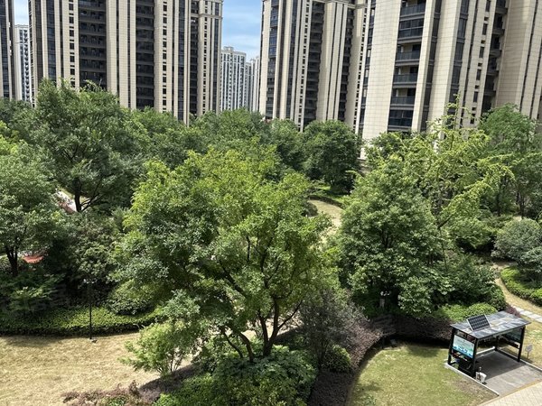 杭州钱塘义蓬宋都丽郡国际大江东 义蓬街道 丽郡国际 地铁口 大阳台