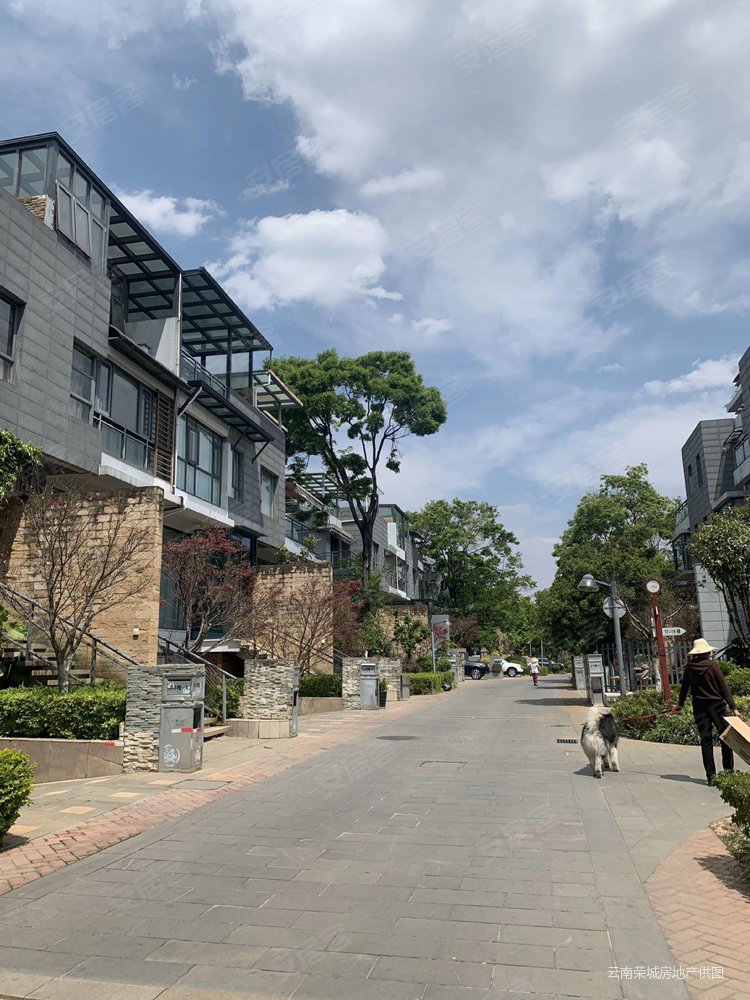 同德极少墅6室3厅3卫250㎡南北788万