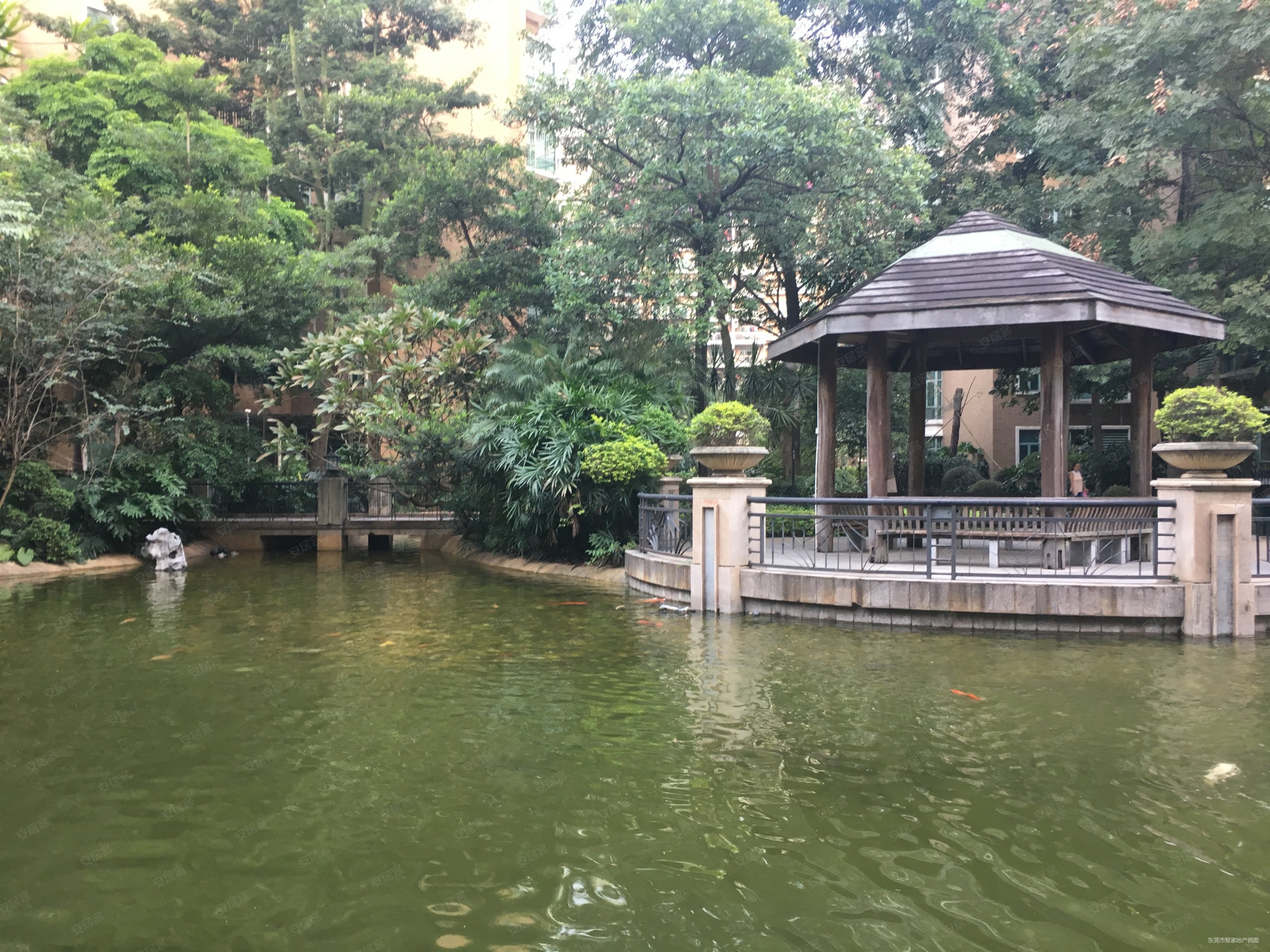 常平高品质小区世纪康城中高层三房户型方正采光十足免个税