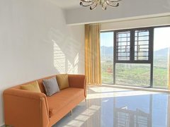 宜春袁州袁州新城下浦小区精装三室出租 高铁站 袁州中学 随时看房 押一付一出租房源真实图片