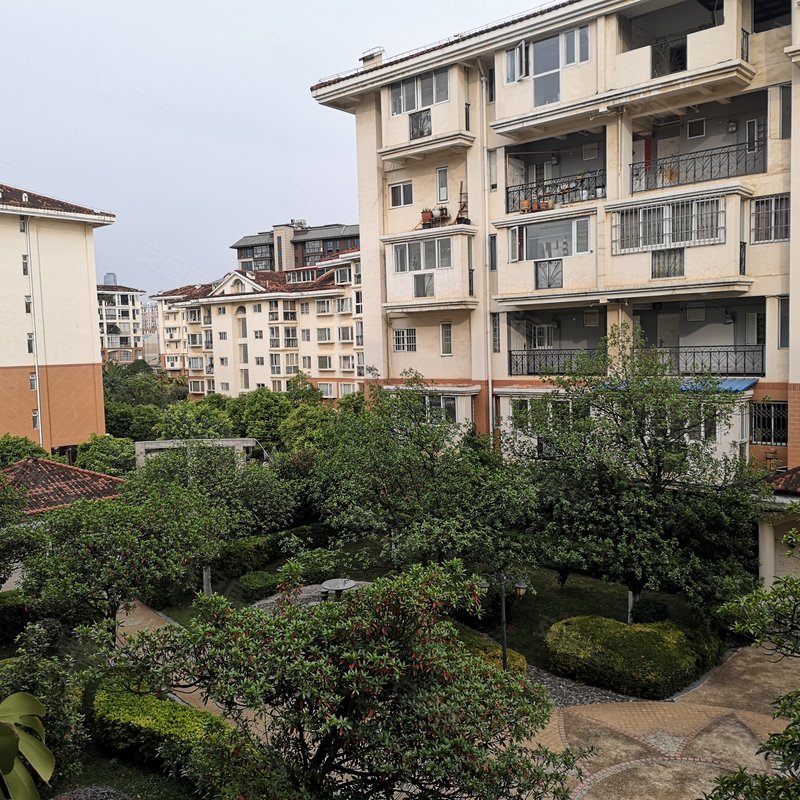 南苑小区地中海专家解读