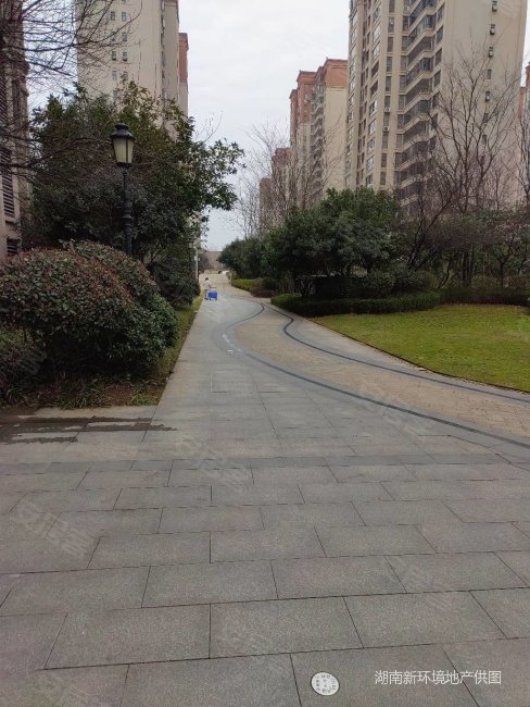 七字头五矿万境蓝山两房湘雅医院理工大学地铁口不靠马路