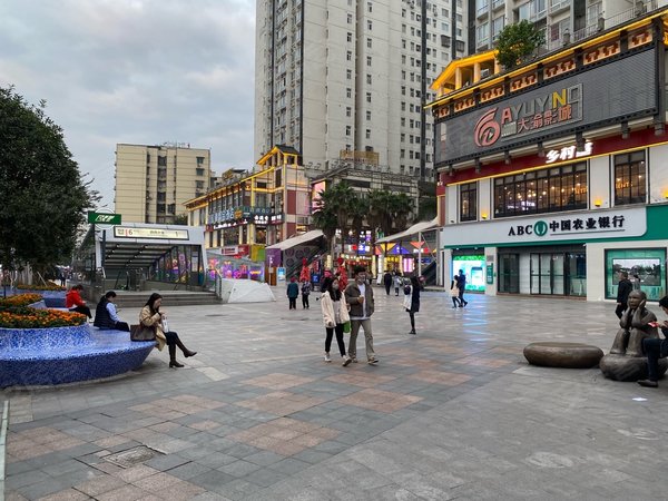 重庆北碚龙凤桥天生丽街西大2号门电梯一室出租(冰箱洗衣机衣柜空调)