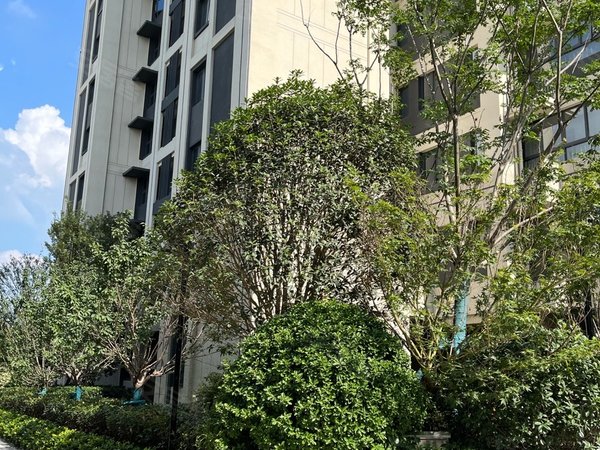 合肥北城新区北城世纪城华地学府公园新华中学 科创北城 省立医院